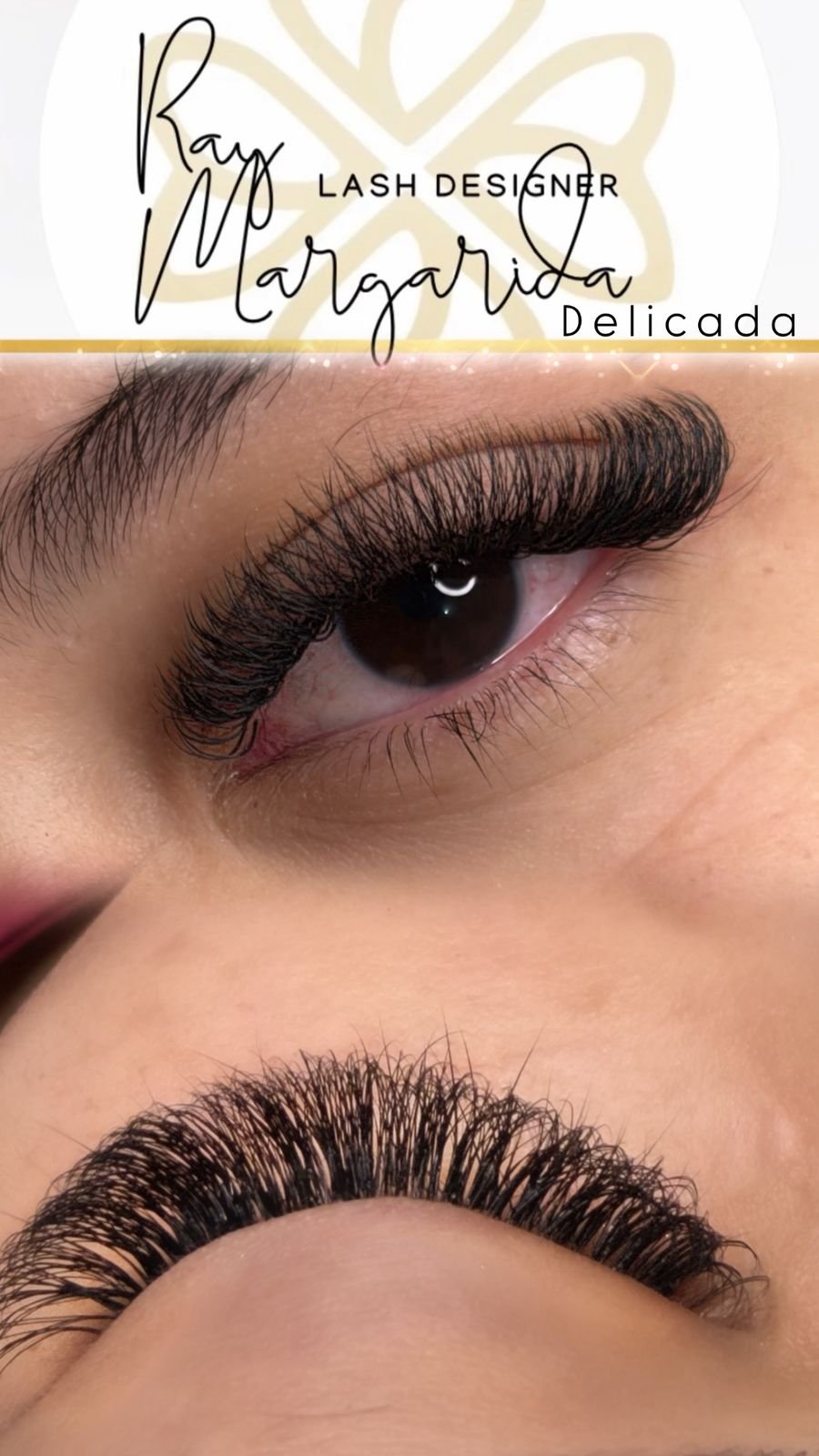 whatsapp image 2025 12 07 at 22.22.11